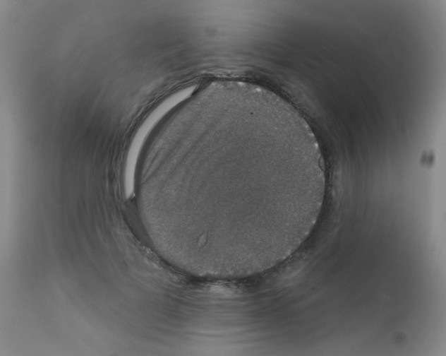 X0000111800697200909031229
