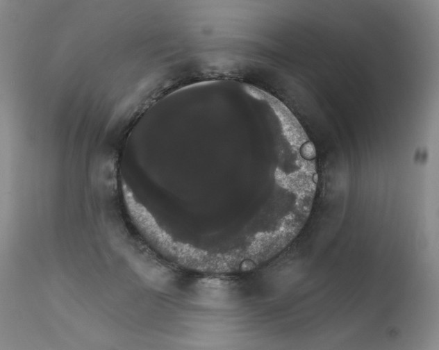 X0000111800699200909031229