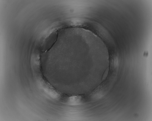 X0000111800700200909031229