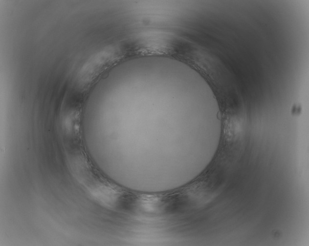 X0000111800701200909031229