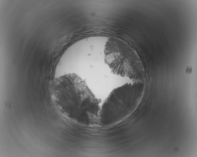 X0000111800703200909031229