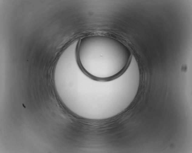 X0000111800704200909031229