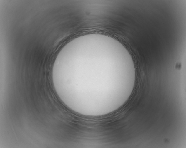 X0000111800705200909031229