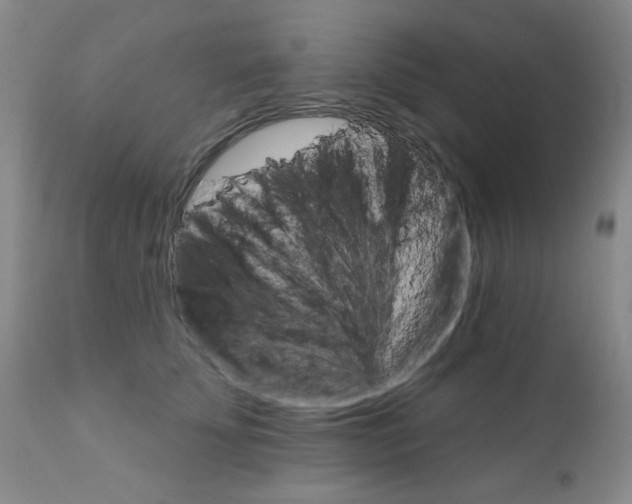 X0000111800707200909031229