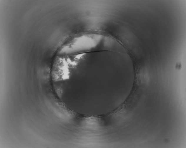 X0000111800708200909031229
