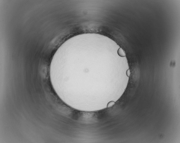 X0000111800709200909031229