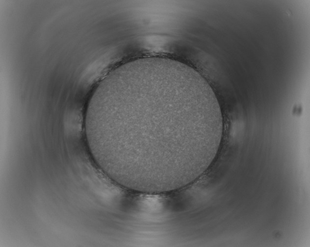 X0000111800710200909031229