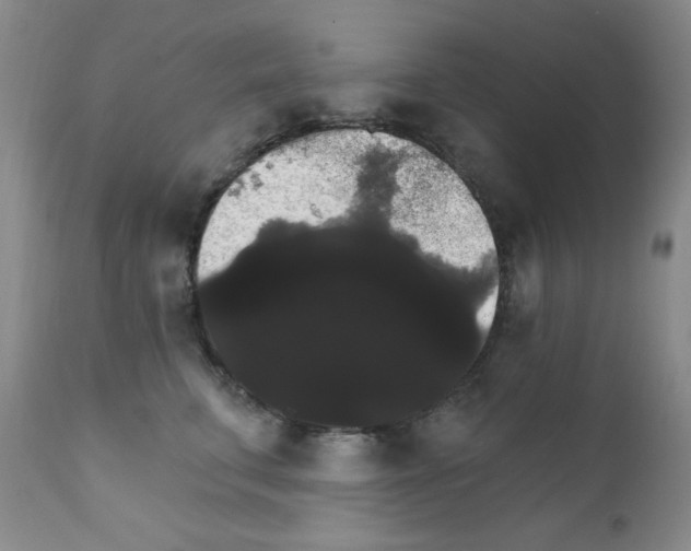 X0000111800711200909031229