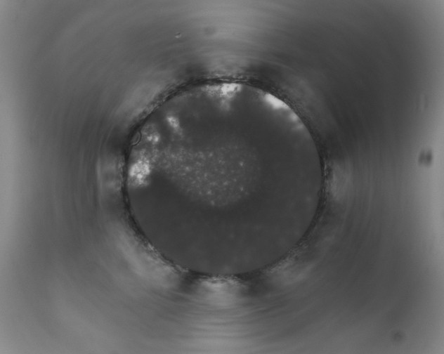 X0000111800712200909031229
