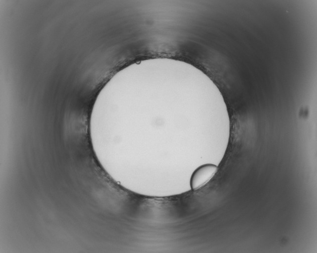 X0000111800713200909031229