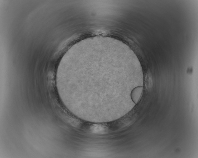 X0000111800714200909031229