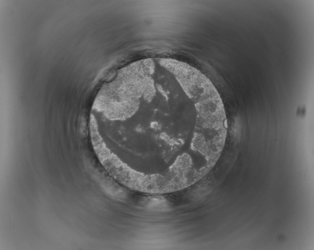 X0000111800715200909031229