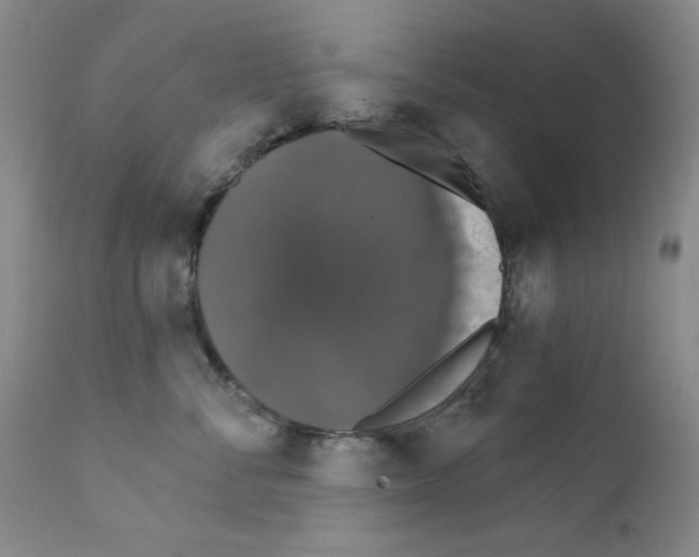 X0000111800716200909031229