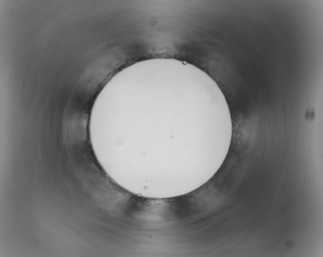 X0000111800717200909031229