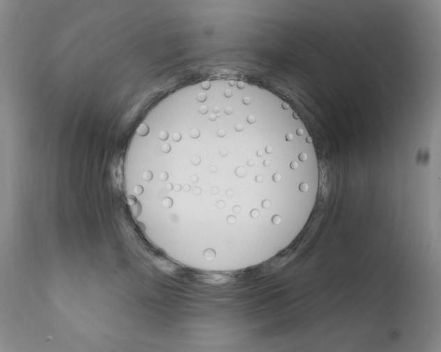 X0000111800718200909031229