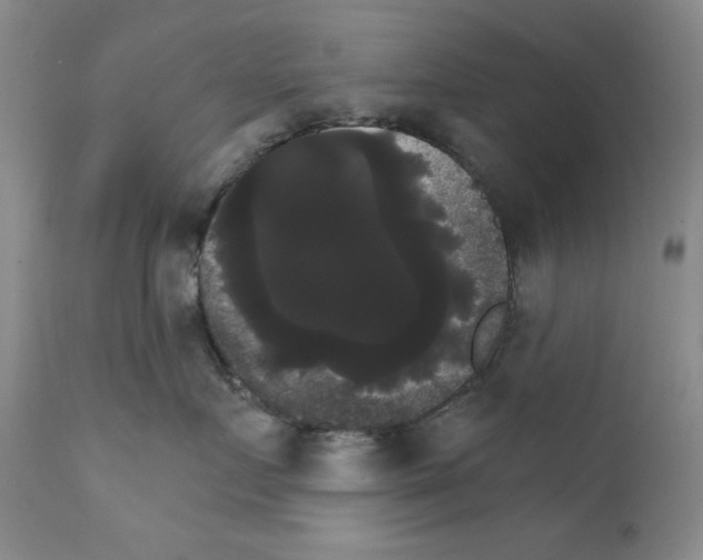 X0000111800719200909031229