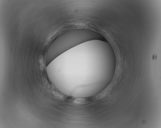 X0000111800720200909031229
