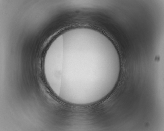 X0000111800722200909031228
