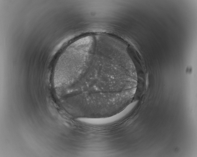 X0000111800723200909031228