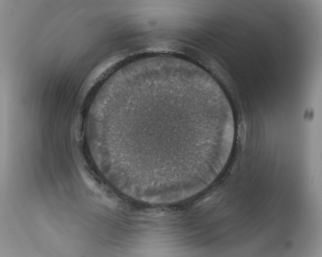 X0000111800724200909031228