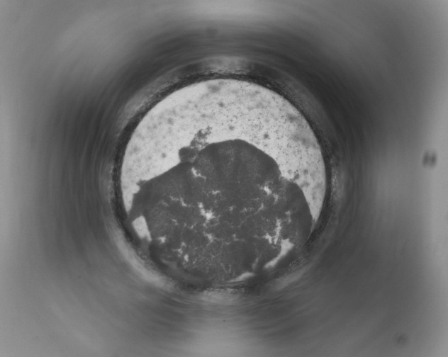 X0000111800725200909031228