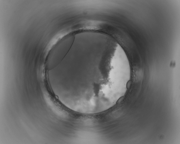X0000111800726200909031228