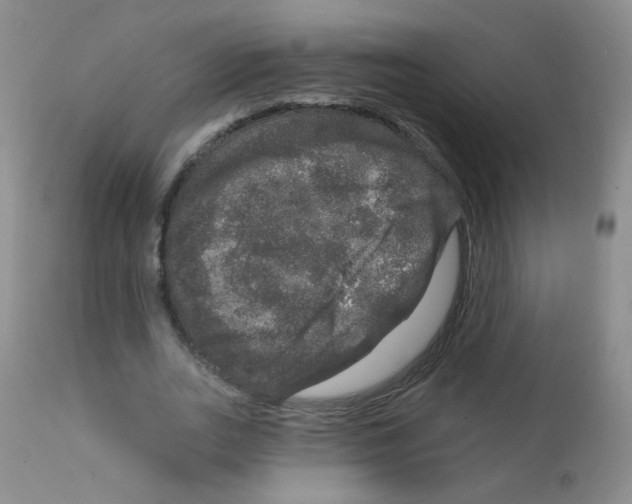 X0000111800727200909031228