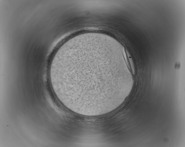 X0000111800728200909031228