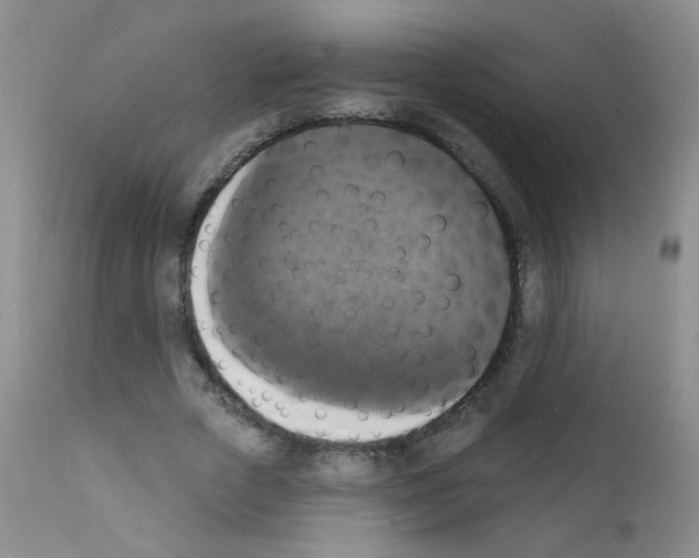 X0000111800729200909031228
