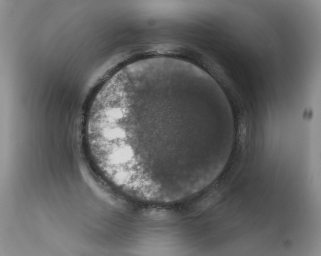X0000111800730200909031228