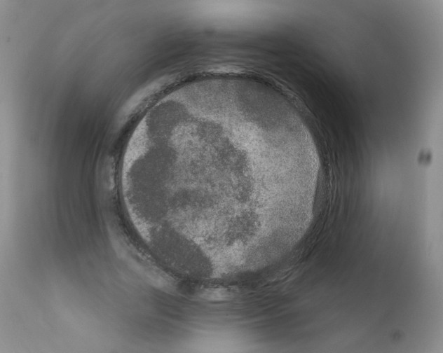 X0000111800731200909031228