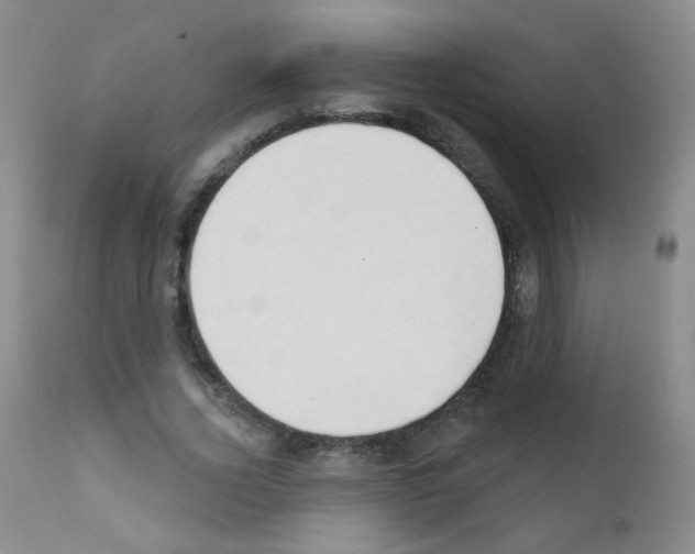 X0000111800732200909031229