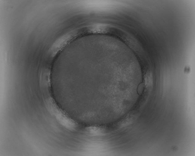 X0000111800733200909031229