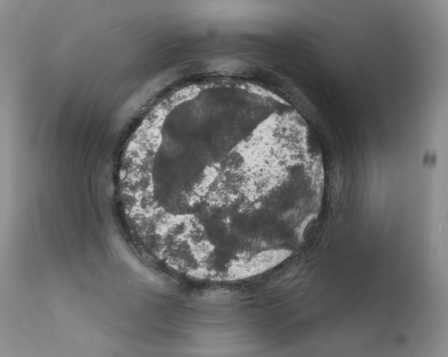 X0000111800734200909031229