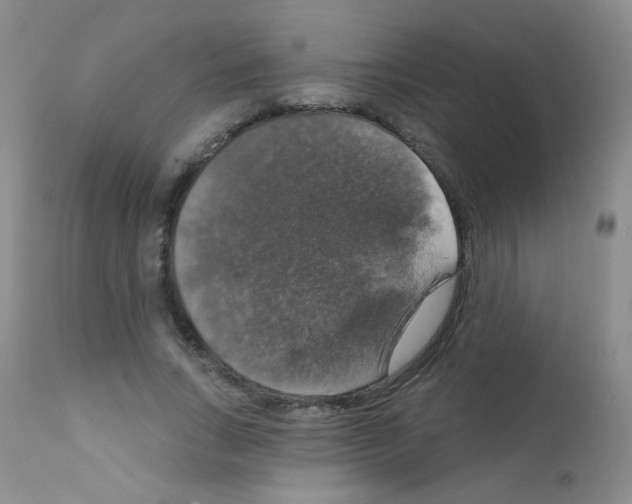 X0000111800735200909031229