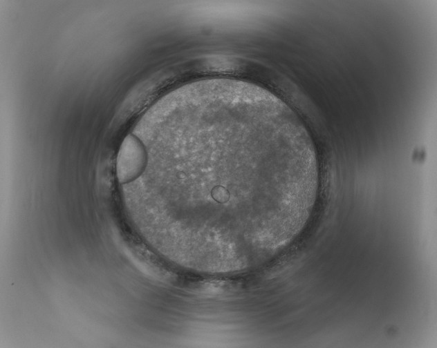 X0000111800736200909031229