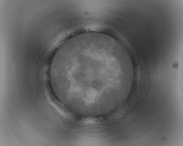 X0000111800738200909031229