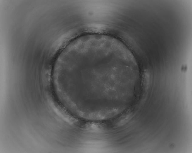 X0000111800739200909031229
