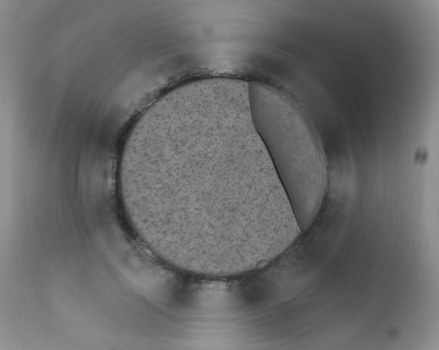 X0000111800740200909031229