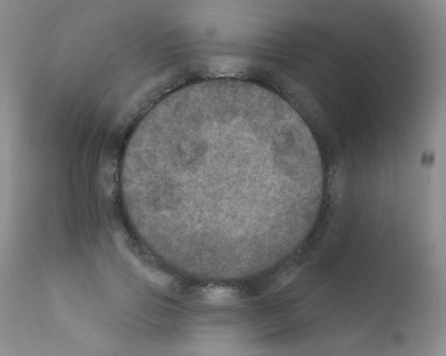 X0000111800741200909031229