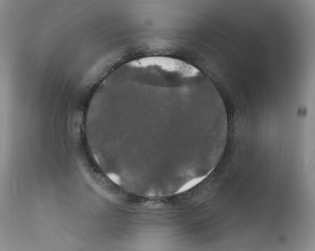 X0000111800742200909031229