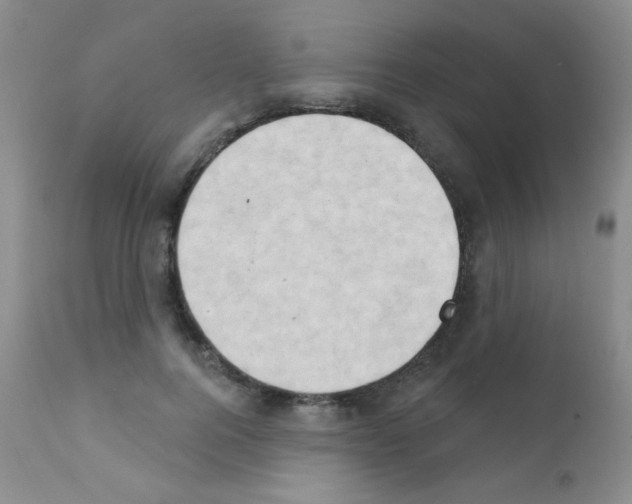 X0000111800744200909031229