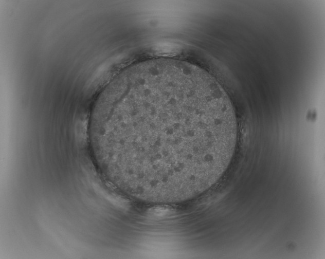 X0000111800745200909031229