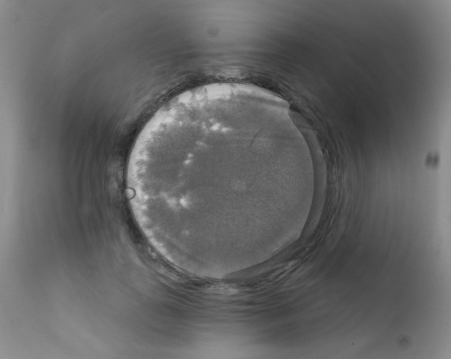 X0000111800747200909031229
