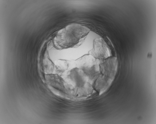 X0000111800749200909031229