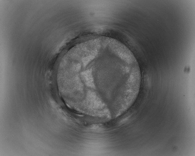 X0000111800750200909031229