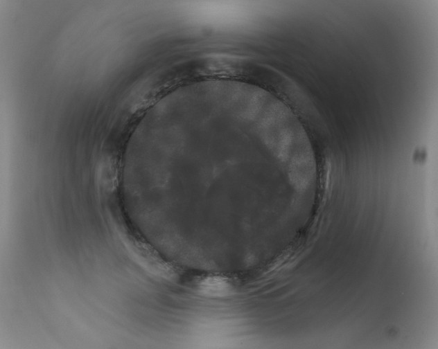 X0000111800751200909031229