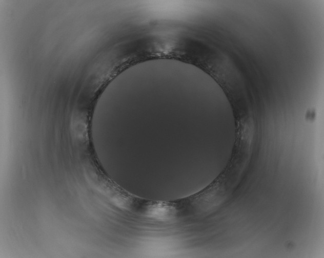 X0000111800754200909031229