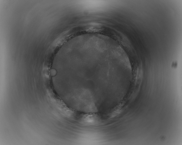X0000111800755200909031229
