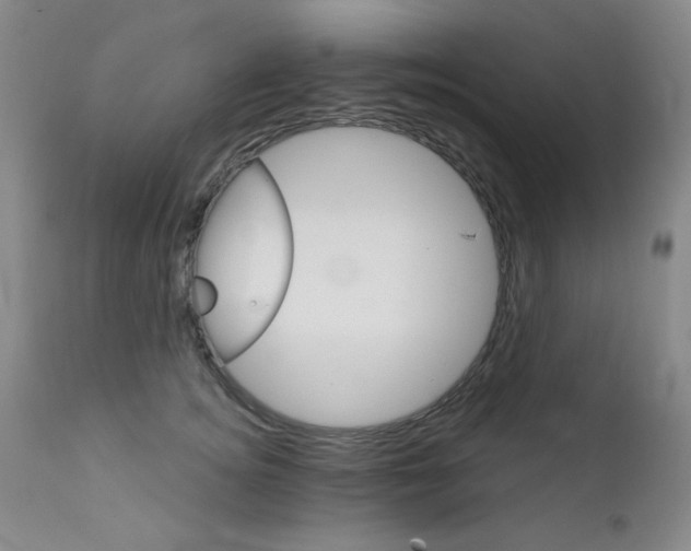 X0000111800756200909031229